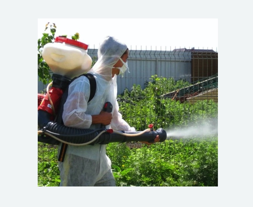 Акарицидная обработка территории в Бокситогорске