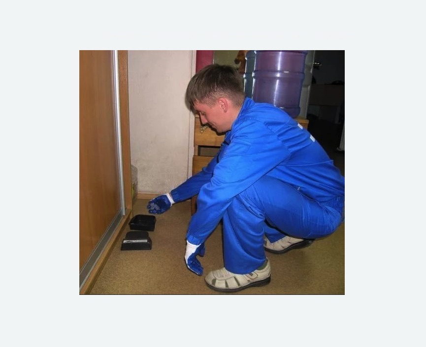 Дератизация крыс в Бокситогорске