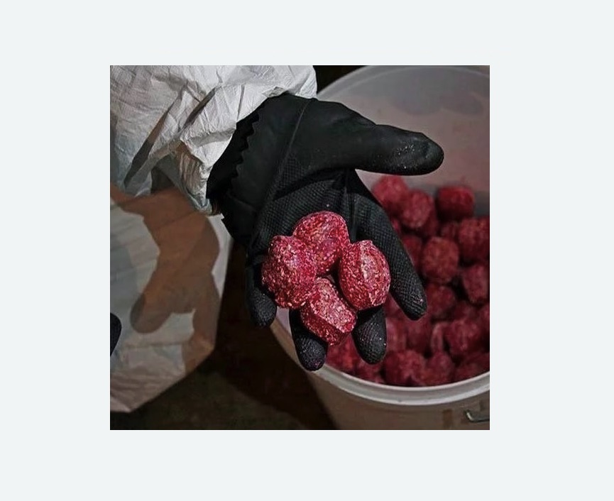 Обработка от крыс в Бокситогорске