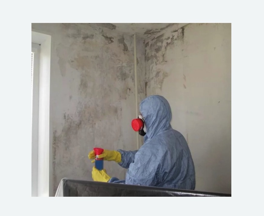Удаление плесени в квартире в Бокситогорске