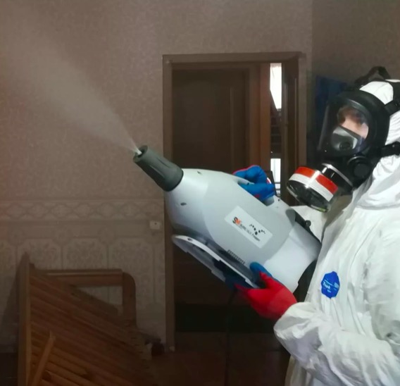 дезинсекция помещения в Бокситогорске