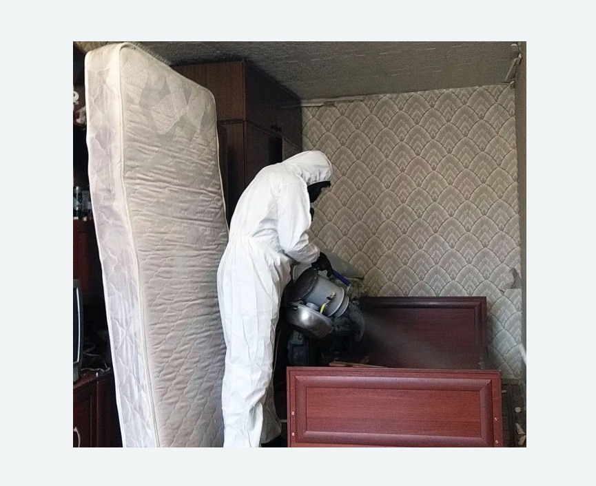 дезинфекция от клопов в Бокситогорске