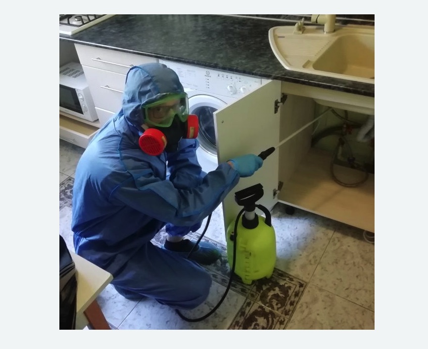 обработка от муравьев в квартире в Бокситогорске