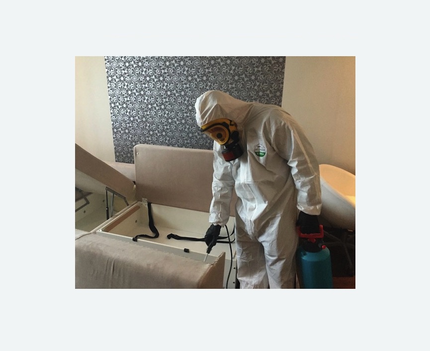 уничтожение клопов в квартире в Бокситогорске