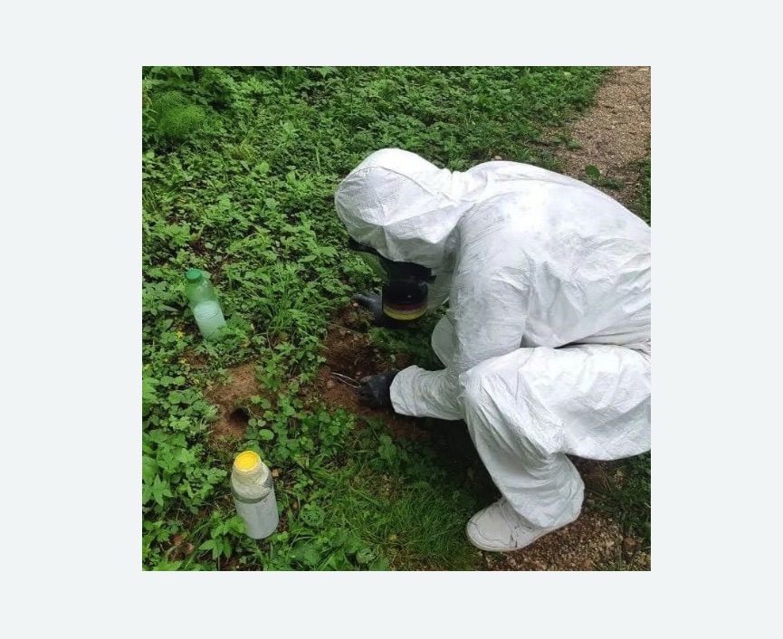 уничтожение кротов на участке в Бокситогорске