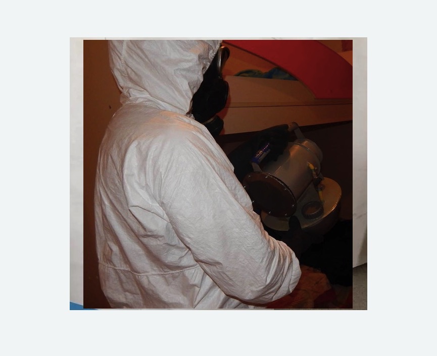 Дезинфекция от муравьев в Бокситогорске