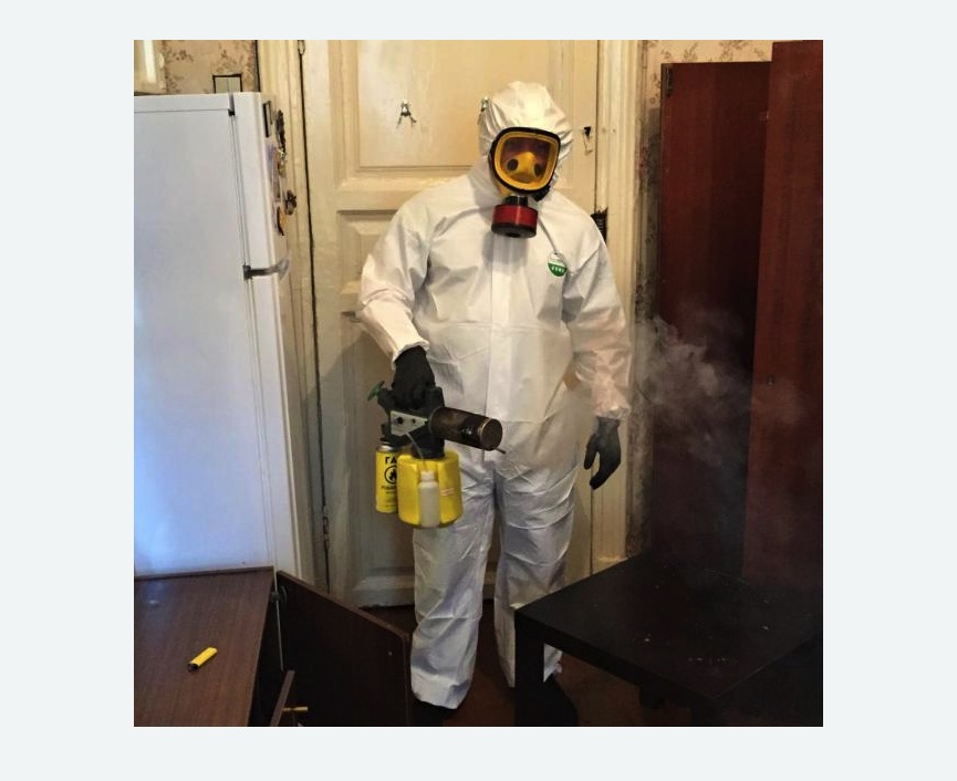 уничтожение муравьев в квартире в Бокситогорске